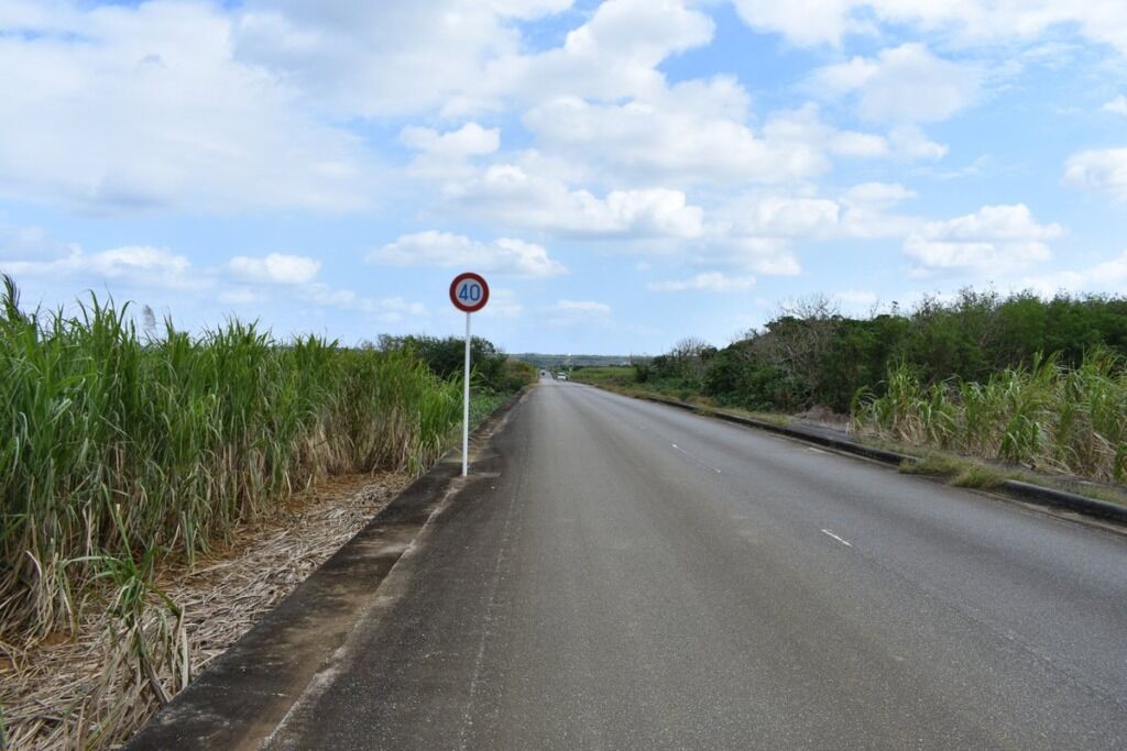 宮古島のさとうきび畑の間をまっすぐ伸びる道