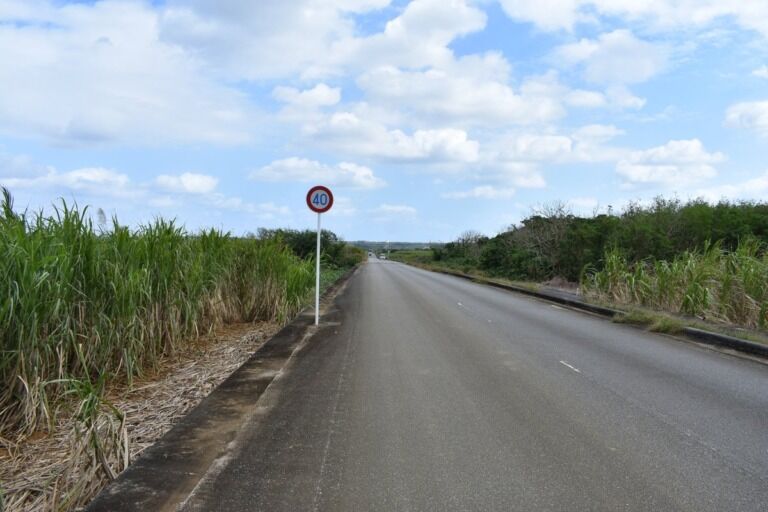 宮古島のさとうきび畑の間をまっすぐ伸びる道